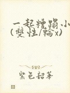 一起糟蹋小美人(双性/轮x)