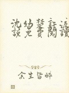 沈幼楚许流年小说免费阅读最新章节封面