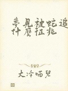 梦见被蛇追咬是什么征兆