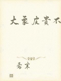 大象皮贵不贵封面