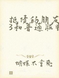 抵债的朋友麦子3和普通版对比