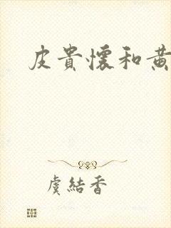 皮贵怀和黄丽娜