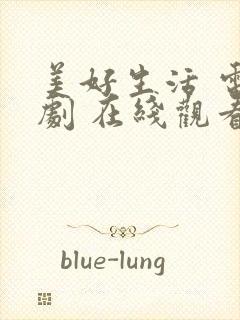 美好生活 电视剧 在线观看