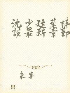 沈少廷叶梓晴小说最新章节