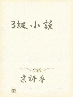 3级小说