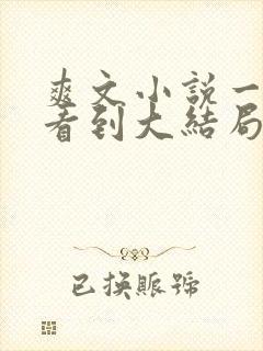 爽文小说一口气看到大结局