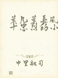 叶凡叶长风一门十忠烈的小说名