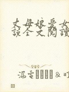 丈母娘爱女婿小说全文阅读封面