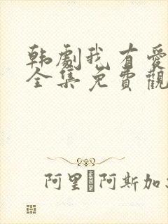 韩剧我有爱人了全集免费观看