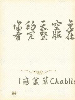 你的天空免费观看完整版在线全集封面