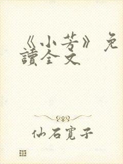 《小芳》免费阅读全文