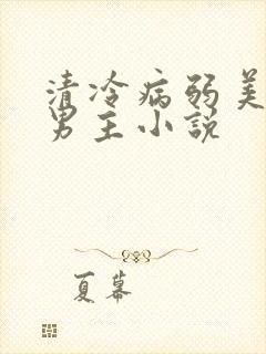清冷病弱美人双男主小说