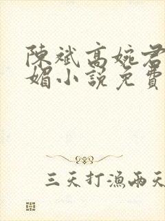 陈斌高婉君赵心媚小说免费小说封面