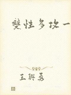 双性多攻一受h
