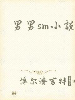 男男sm小说