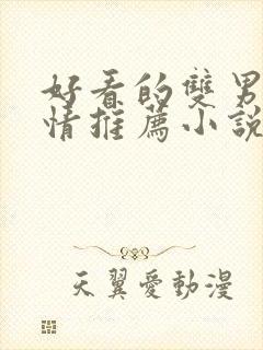 好看的双男主言情推荐小说