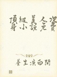 顶级美人次级替身小说免费阅读