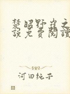 楚昭野崔之棠小说免费阅读最新章节