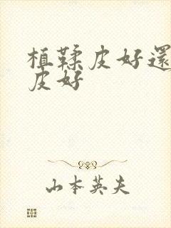 植鞣皮好还是真皮好