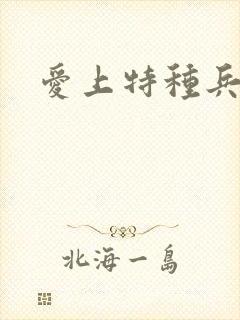 爱上特种兵结局