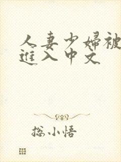 人妻少妇被猛烈进入中文封面