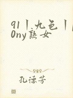 91丨九色丨p0ny熟女