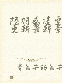 陆羽盛凌云今天更新最新章节封面