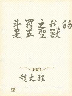 斗罗之我的武魂是五圣兽