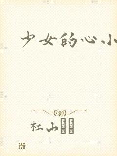 少女的心小说封面