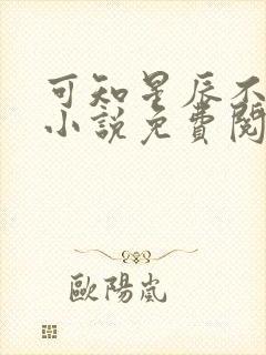 可知星辰不及你小说免费阅读封面
