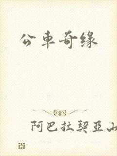 公车奇缘