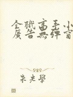 全职高手小说无广告无弹窗