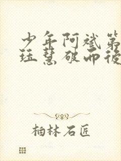 少年阿斌第二部珏慧破而后立