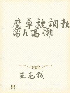 魔尊被调教成禁脔h高潮