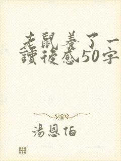 老鼠养了一只猫读后感50字