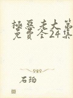 极恶老大第3季免费全24集