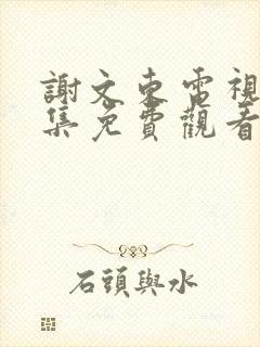 谢文东电视剧全集免费观看完整版封面