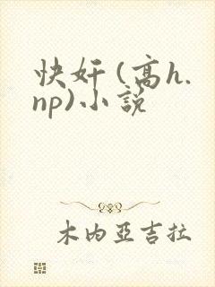 快奸 (高h.np)小说