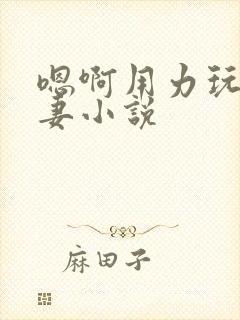 嗯啊用力玩弄人妻小说