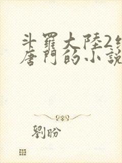 斗罗大陆2绝世唐门的小说