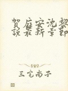 贺庭安沈黎初小说最新章节更新内容