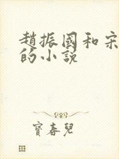 赵振国和宋婉清的小说