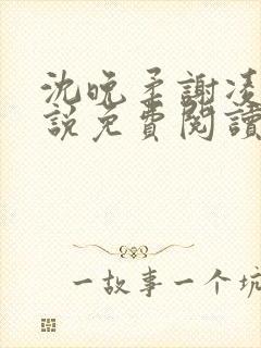 沈晚柔谢凌安小说免费阅读最新章节封面