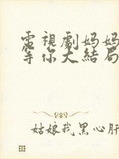 电视剧妈妈在家等你大结局封面