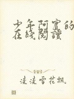 少年阿宾的故事在线阅读