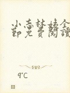 小志林姨全部章节免费阅读