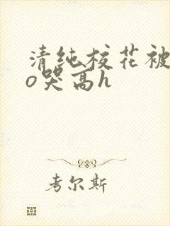 清纯校花被cao哭高h封面