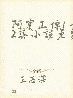 阿宾正传1一72集小说免费阅读