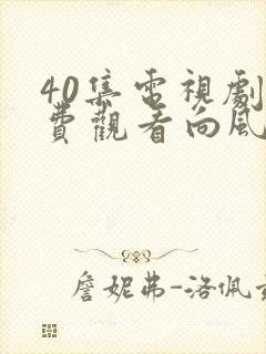 40集电视剧免费观看向风而行