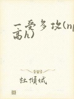 一受多攻(np高h)封面